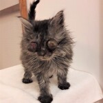 20211206_173025_resized_1