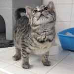 20211209_151348_resized