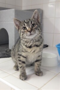 20211209_151355_resized