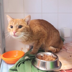 20211211_113728_resized