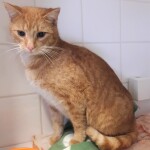 20211211_113753_resized