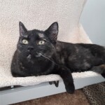 20211212_134652_resized