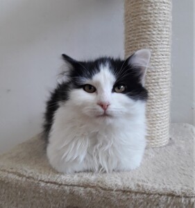 20211212_134746_resized