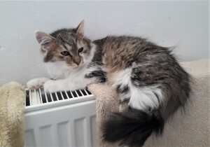 20211212_134850_resized