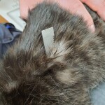 262290885_485641609462135_5914563843680649890_n