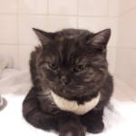 262615053_632569161102367_984374377423076778_n