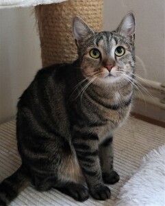 SAMSUNG CAMERA PICTURES