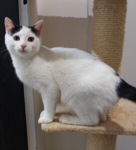 SAMSUNG CAMERA PICTURES