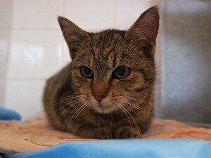 SAMSUNG CAMERA PICTURES