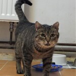 SAMSUNG CAMERA PICTURES