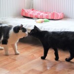 273400045_3139862182959833_4954116945325376797_n