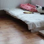 273439798_3139862312959820_1748407230200183283_n