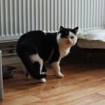 273505743_3139862519626466_5366668519267361254_n