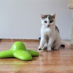 SAMSUNG CAMERA PICTURES