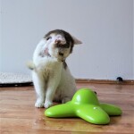 SAMSUNG CAMERA PICTURES