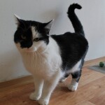 SAMSUNG CAMERA PICTURES