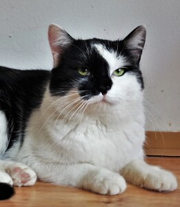 SAMSUNG CAMERA PICTURES