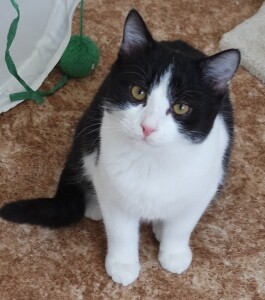 SAMSUNG CAMERA PICTURES