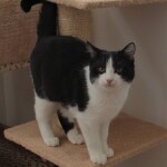 SAMSUNG CAMERA PICTURES