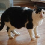 SAMSUNG CAMERA PICTURES