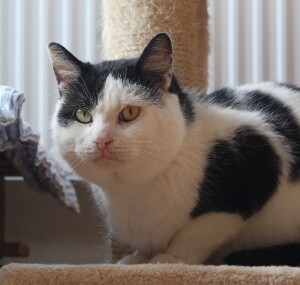 SAMSUNG CAMERA PICTURES