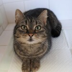 SAMSUNG CAMERA PICTURES