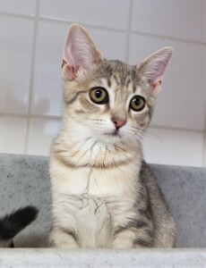 SAMSUNG CAMERA PICTURES