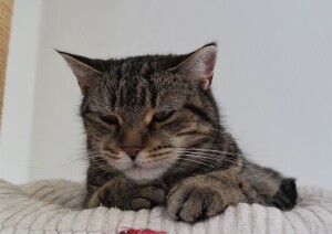 SAMSUNG CAMERA PICTURES