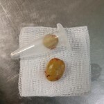 9841f206-1395-4687-95be-986d303c19fe