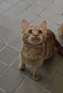 20250428_113808_resized (1)