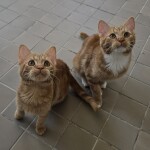 20250428_113808_resized