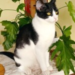 Изображение WhatsApp 2025-04-15 в 14.50.15_53082da0