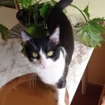 Изображение WhatsApp 2025-04-15 в 14.53.58_5c818cf1