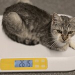 581059758_1244148837745792_4495627692489300779_n