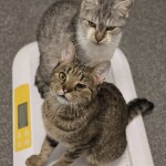 581145017_1244148751079134_3923129985006702513_n