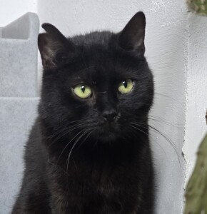 20260224_145743